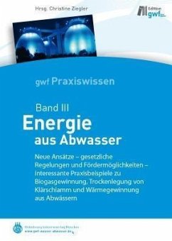 Energie aus Abwasser (eBook, PDF)