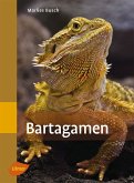 Bartagamen (eBook, ePUB)