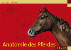 Anatomie des Pferdes (eBook, PDF) - Goody, Peter C.