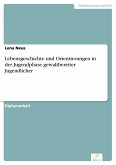 Lebensgeschichte und Orientierungen in der Jugendphase gewaltbereiter Jugendlicher (eBook, PDF)