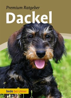 Dackel (eBook, PDF) - Schmitt, Annette