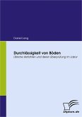 Durchlässigkeit von Böden (eBook, PDF)