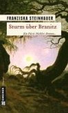 Sturm über Branitz (eBook, PDF)