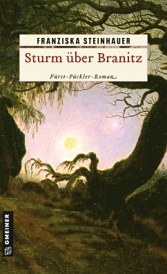 Sturm über Branitz (eBook, PDF) - Steinhauer, Franziska