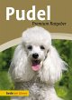 Pudel (eBook, PDF) - Bild 1