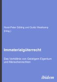Immaterialgüterrecht. Das Verhältnis von Geistigem Eigentum und Menschenrechten (eBook, PDF)