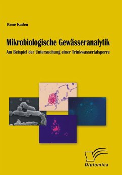 Mikrobiologische Gewässeranalytik (eBook, PDF) - Kaden, René