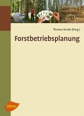 Forstbetriebsplanung (eBook, PDF)