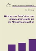 Wirkung von Rechtsform und Unternehmensgröße auf die Mitarbeitermotivation (eBook, PDF)