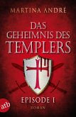Ein heiliger Schwur / Das Geheimnis des Templers Bd.1 (eBook, ePUB)