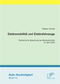 Elektromobilität und Elektrofahrzeuge: Ökonomische Bewertung des Marktpotenzials im Jahr 2020 (eBook, PDF)