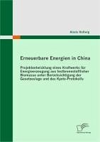 Erneuerbare Energien in China: Projektentwicklung eines Kraftwerks für Energieerzeugung aus festbrennstofflicher Biomasse unter Berücksichtigung der Gesetzeslage und des Kyoto-Protokolls (eBook, PDF) - Hellwig, Alexis
