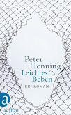 Leichtes Beben (eBook, ePUB)
