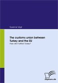 The customs union between Turkey and the EU (eBook, PDF)