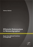 Effiziente Datenanalyse in Netzwerkgraphen: Durch User Defined Functions in PostgreSQL (eBook, PDF)
