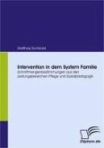 Intervention in dem System Familie (eBook, PDF)