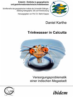Trinkwasser in Calcutta (eBook, PDF) - Karthe, Daniel