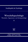 Wirtschaftspsychologie (Enzyklopädie der Psychologie : Themenbereich D : Ser. 3 ; Bd. 6) (eBook, PDF)