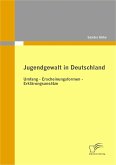 Jugendgewalt in Deutschland (eBook, PDF)