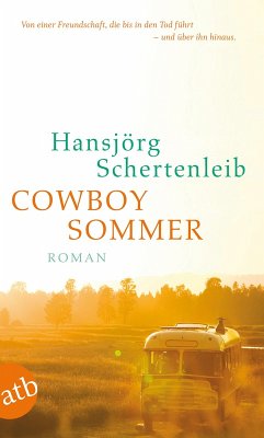 Cowboysommer (eBook, ePUB) - Schertenleib, Hansjörg