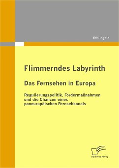 Flimmerndes Labyrinth: Das Fernsehen in Europa - Regulierungspolitik, Fördermaßnahmen und die Chancen eines paneuropäischen Fernsehkanals (eBook, PDF) - Ingold, Eva