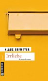 Irrliebe (eBook, PDF)