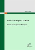 Data Profiling mit Eclipse (eBook, PDF)