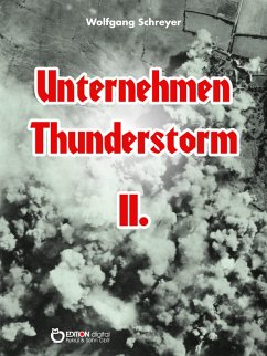Unternehmen Thunderstorm, Band 2 (eBook, ePUB) - Schreyer, Wolfgang