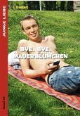 Bye , bye Mauerblümchen (eBook, ePUB)