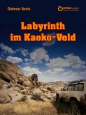 Labyrinth im Kaoko-Veld (eBook, PDF)