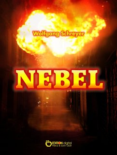 Nebel (eBook, ePUB) - Schreyer, Wolfgang