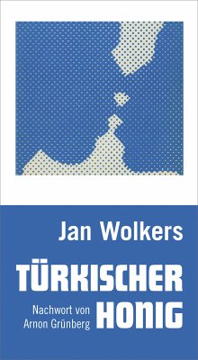 Türkischer Honig (eBook, ePUB) - Wolkers, Jan