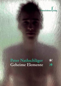 Geheime Elemente (eBook, PDF) - Nathschläger, Peter