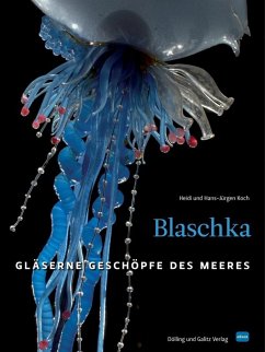 Cover Blaschka (HD-Version) (eBook, ePUB)