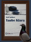 Taube Klara oder Zufälle gibt es nicht (eBook, PDF)