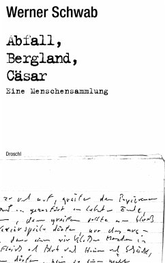 Abfall Bergland Cäsar (eBook, ePUB) - Schwab, Werner