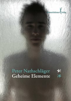 Geheime Elemente (eBook, ePUB) - Nathschläger, Peter