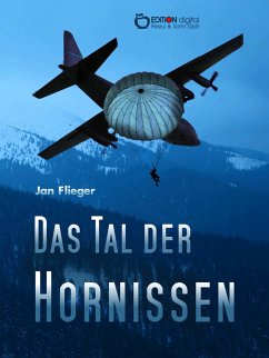 Das Tal der Hornissen (eBook, PDF) - Flieger, Jan