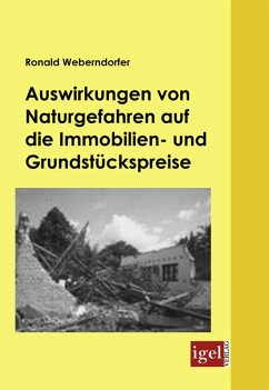 Auswirkungen von Naturgefahren auf die Immobilien- und Grundstückspreise (eBook, PDF) - Weberndorfer, Ronald