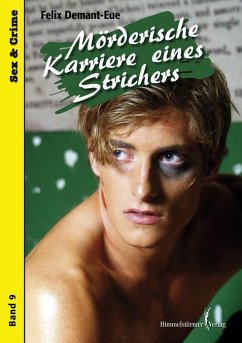 Mörderische Karriere eines Strichers (eBook, PDF) - Demant-Eue, Felix