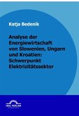 Analyse der Energiewirtschaft von Slowenien, Ungarn und Kroatien: Schwerpunkt Elektrizitätssektor (eBook, PDF)