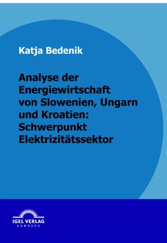Analyse der Energiewirtschaft von Slowenien, Ungarn und Kroatien: Schwerpunkt Elektrizitätssektor (eBook, PDF) - Bedenik, Katja