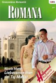 Liebeswachen am Taj Mahal (eBook, ePUB)