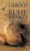 Ruhestand (eBook, ePUB)