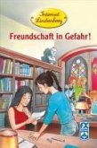 Internat Lindenberg. Freundschaft in Gefahr! (eBook, ePUB)