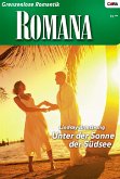 Unter der Sonne der Südsee (eBook, ePUB)