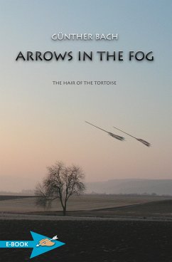 Arrows In The Fog (eBook, ePUB) - Bach, Günther