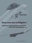 Wozu noch den Eurofighter? (eBook, PDF)