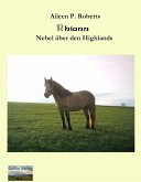 Rhiann - Nebel über den Highlands (eBook, ePUB)