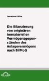 Die Bilanzierung von originären immateriellen Vermögensgegenständen des Anlagevermögens nach BilMoG (eBook, PDF)
